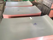 700 - 1250mmの幅CGCCのDX51D PPGI亜鉛はPrepainted色の鋼板に塗った